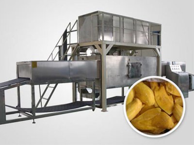 休閑食品微波殺菌設備的特點有哪些?