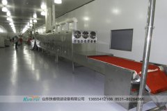 微波殺菌設備 