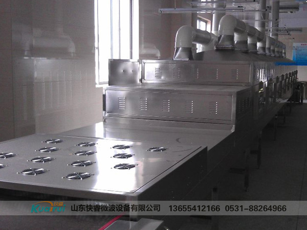 微波烘干設(shè)備