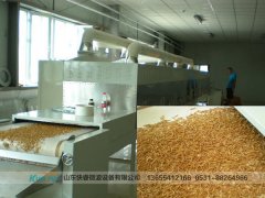 微波干燥設(shè)備行業(yè)生產(chǎn)規(guī)模小，建廠需謹(jǐn)慎!