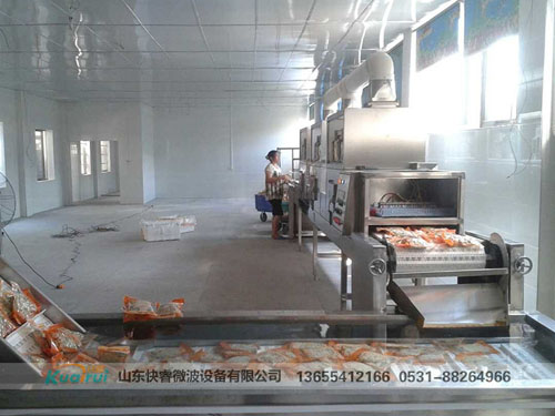 微波烘干設備
