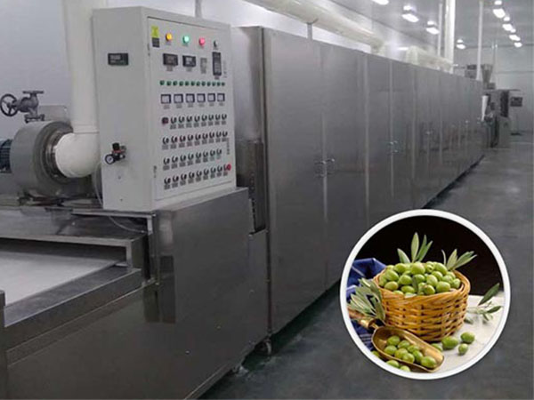微波殺菌設備