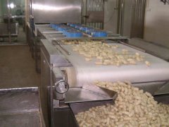 微波干燥設備在食品業的優勢足以讓球員吃到健康食品